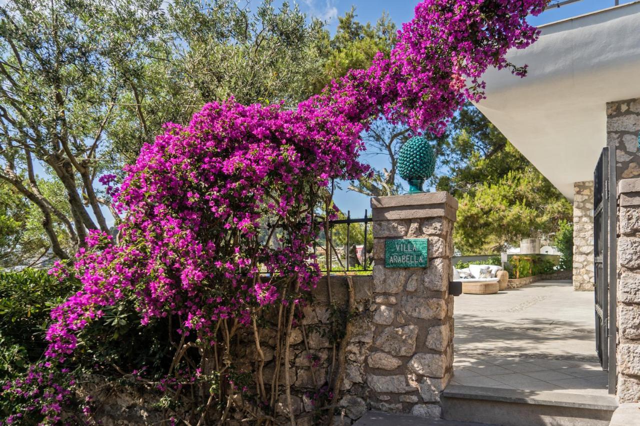 Villa Arabella Capri Bagian luar foto